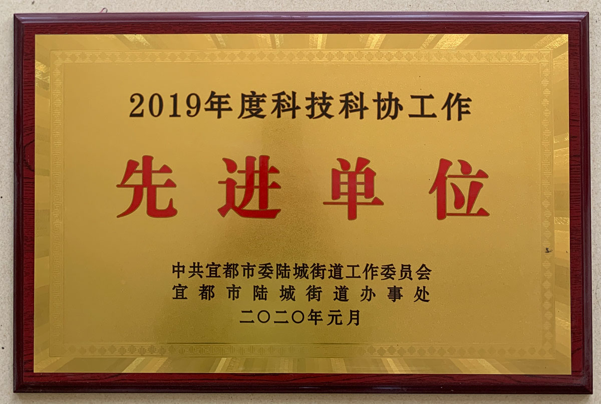 2019科技科協(xié)先進單位.jpg