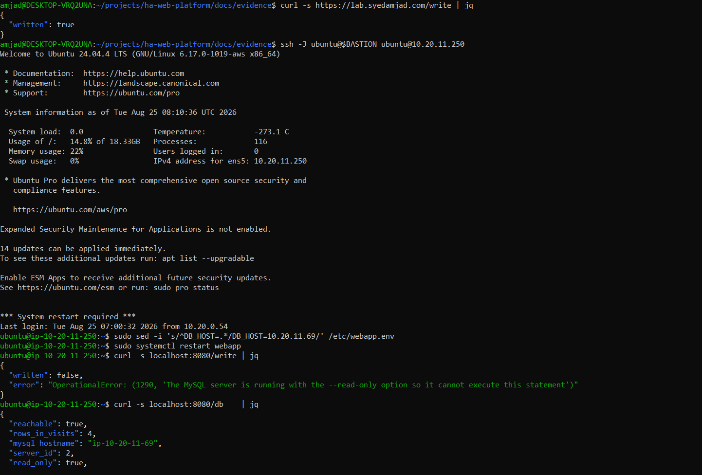 Terminal on a web node with DB_HOST pointed at the primary: curl to localhost:8080/write returns written true, and /db reports server_id 1 with read_only false.