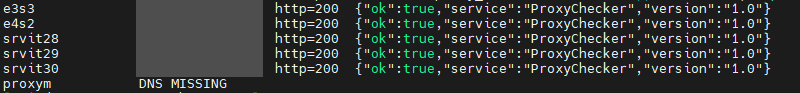 Terminal: five Linux nodes each return http=200 with ok true, service ProxyChecker, version 1.0; the control node's own entry shows DNS MISSING. The address column is redacted.